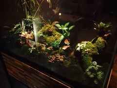 -BRONZE(双井店)