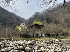 -沣峪口