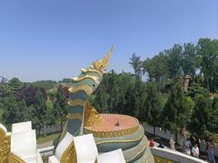 -洛阳白马寺