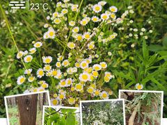 -龙洞风景区-藏龙涧