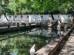 -西园戒幢律寺
