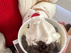 -Salud撒露欧洲冻酸奶(五道口购物中心店)