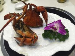 -鑫悦楼煎蟹·16年海鲜大排档
