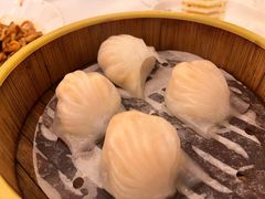 圣丰虾饺皇-圣丰城酒家·宴会(宝安大仟里店)