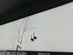 -BLACKSWAN黑天鹅(环球店)