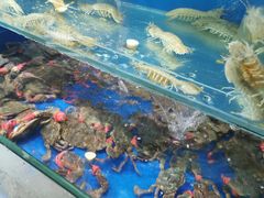 -春华海鲜城(广场西苑店)