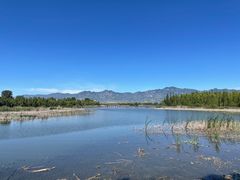 -野鸭湖国家湿地公园