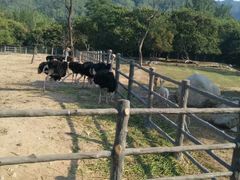 -西安秦岭野生动物园