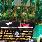 西餐厅真的超级适合约会呢