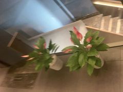 -百富源·海鲜辽菜(和平北大街店)