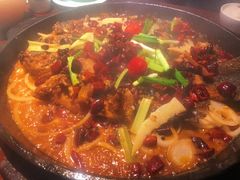 -老板恋上鱼(高新万达店)