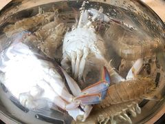 -港畔赶海蒸汽海鲜烧烤自助(仙螺岛店)