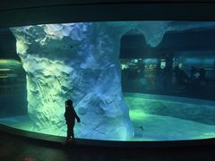 -新加坡飞禽公园