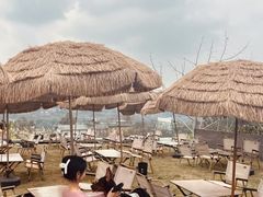 -桃源山庄·水蜜桃采摘·柴火鸡·烧烤团建(龙泉山店)