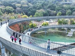 -梅峰山地公园