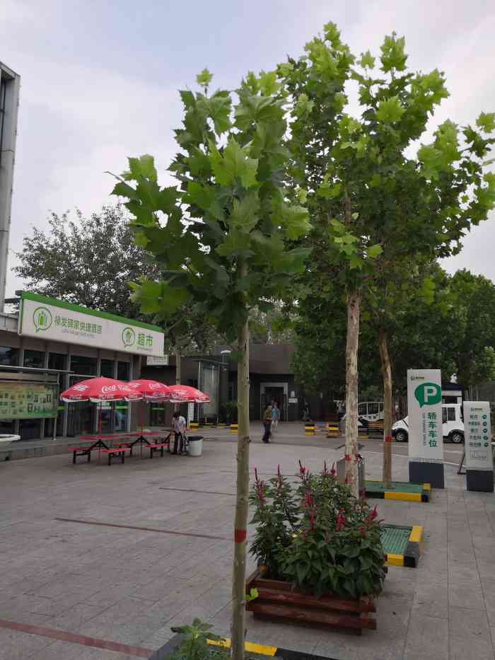 服务区-"京哈高速公路丰润服务区面积不是很大,晚上."-大众点评移动版