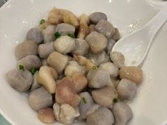 -平湖九龙山旅游度假区