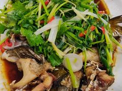蒸桂花鱼-食为先(中山七路店)