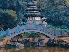 -深圳国际园林花卉博览园