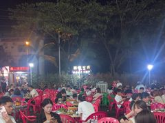 -霞姐屯昌枫木香草鸭店(海螺店)