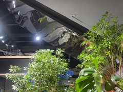 -弗劳尔花艺坊(龙涛店)