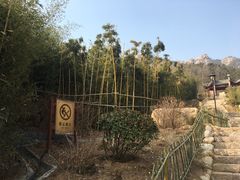 -竹子庵公园