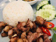 -Fern Forest Cafe