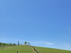 -关山草原