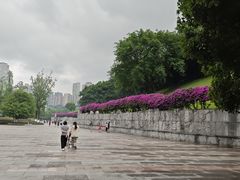 -龙头寺公园