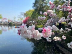 -无锡蠡湖国家湿地公园-蠡园