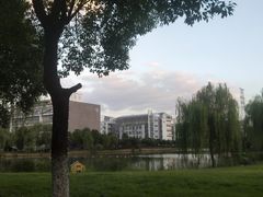 -海底捞火锅(亲子主题北金鹰店)