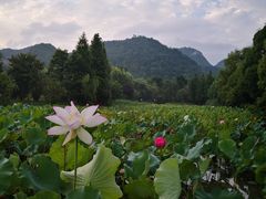 -贵阳市花溪国家城市湿地公园