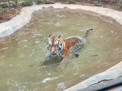 -昆明动物园