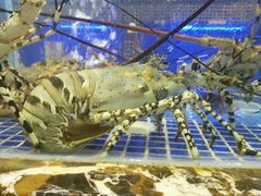 -欢乐海岸美食联盟