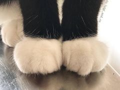 -青岛海尔洲际酒店