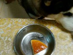 -皇冠 · 玛莉奥(丽江店)