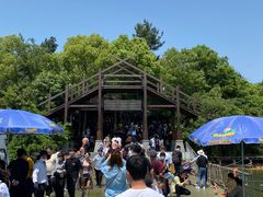 -天目湖山水园