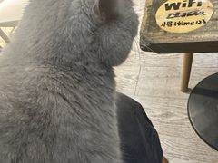 -小时光咖啡馆(北锣鼓巷店)