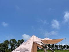 -春花秋色城市公园