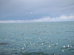 -青海湖国家重点风景名胜区