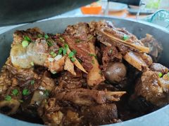 -洪湖家庭农场·团建·露营·会议