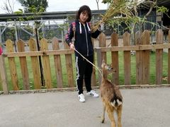 -鹿境梅花鹿生态园区