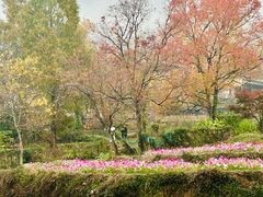 -塔川景区