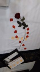 -脉道美容养生会所