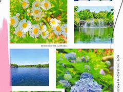 -上海共青森林公园