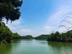 -蜀南竹海景区