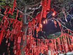 -泰山风景名胜区