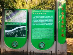 -长白岛森林公园