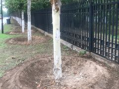 -永定河休闲森林公园