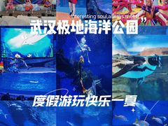 -海合安武汉极地海洋公园